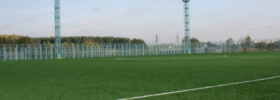 Искусственное поле