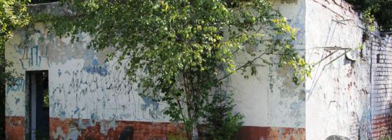 Страйкбольная площадка "Волма"